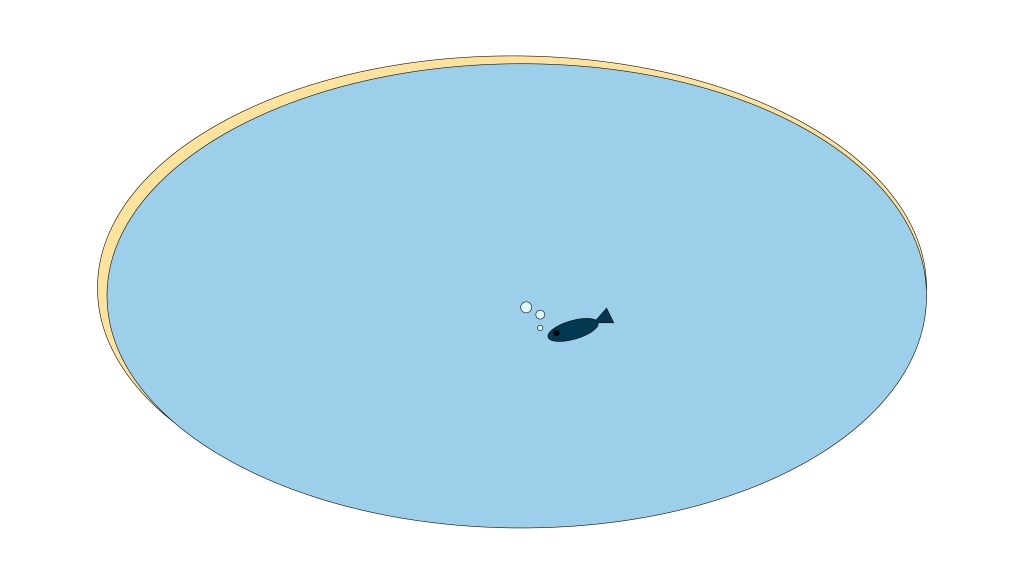 A Small Fish in a Big&nbsp;Pond