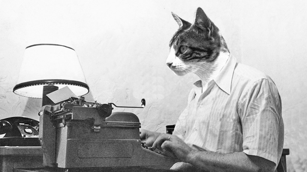 The User Needs&nbsp;Model