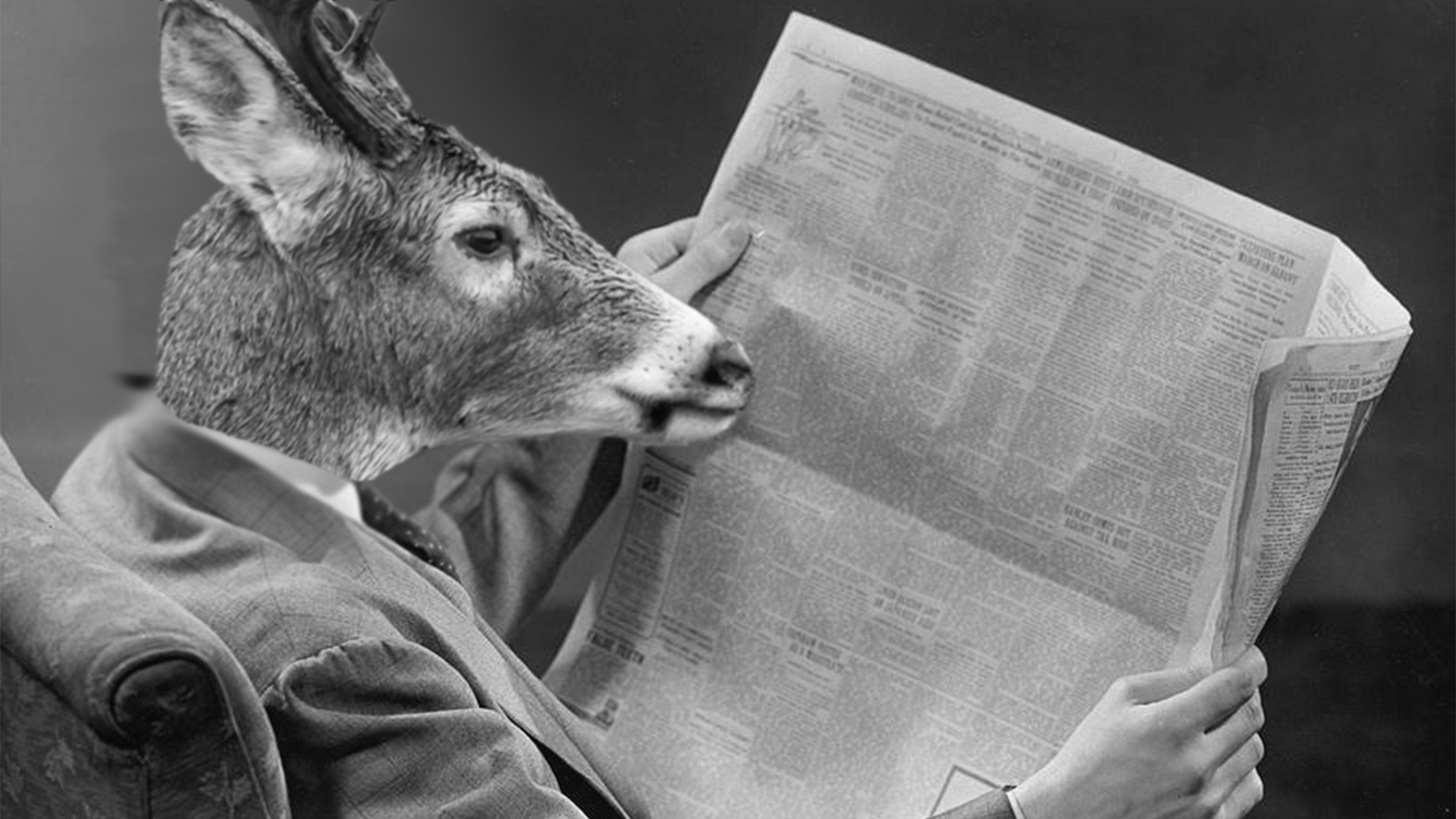 Don’t Judge a Paper by its Front Page. Or Do?